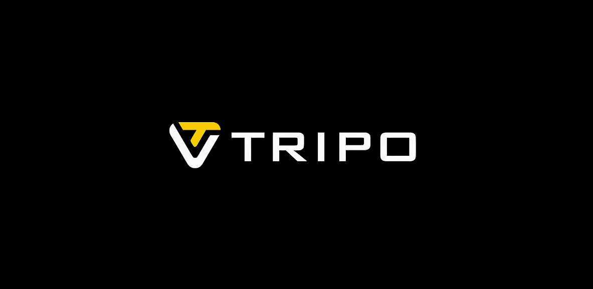 TripoSR
